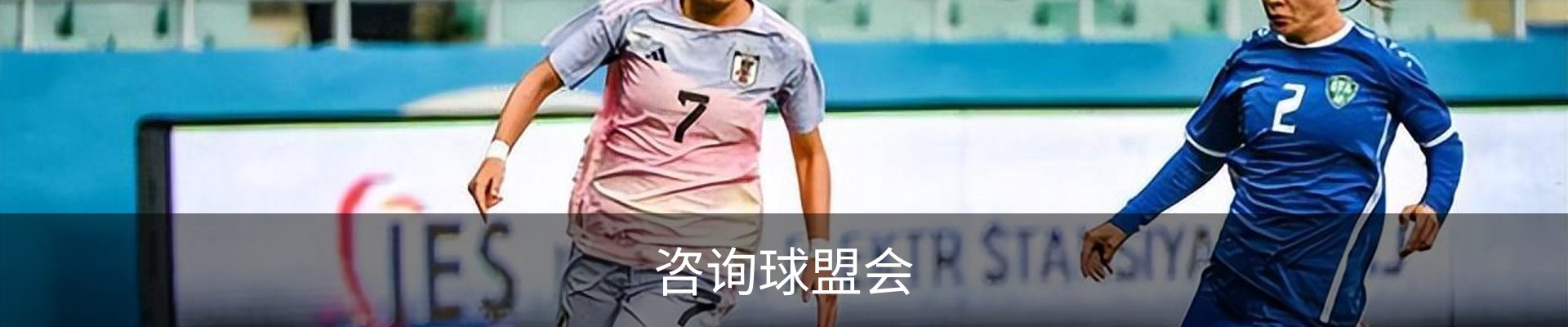 咨询球盟会