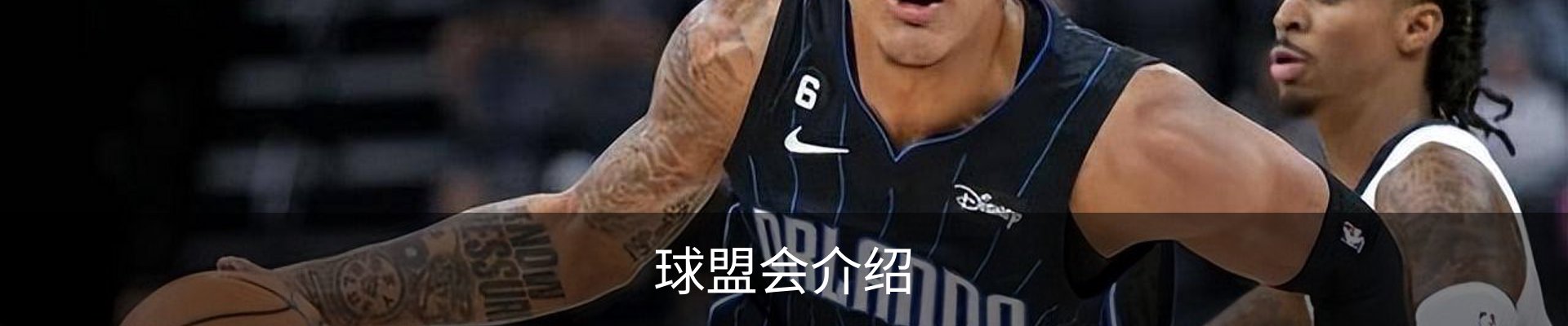 球盟会介绍